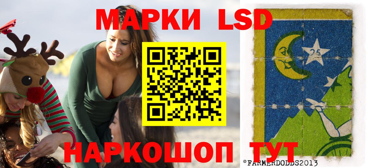 Бердск  Наркотические марки 1,8мг  Вход с VPN  Наркотические марки 1,8мг 