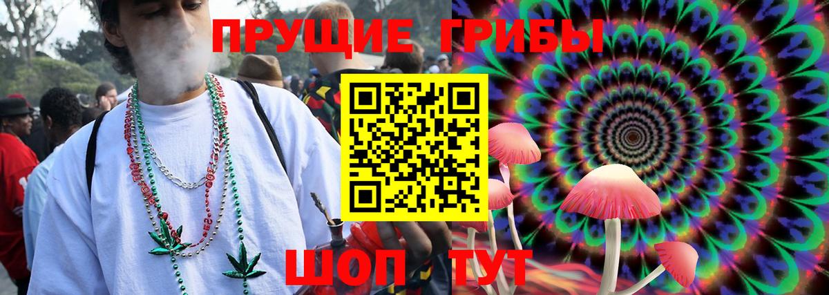 Галлюциногенные грибы Psilocybe  Галлюциногенные грибы ЛСД  Бердск 