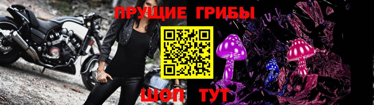 Псилоцибиновые грибы мицелий  Вход с VPN  купить наркоту  Бердск  Галлюциногенные грибы MAGIC MUSHROOMS 