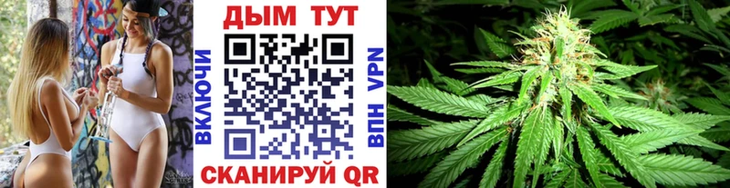 Бошки марихуана OG Kush  Бердск 